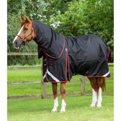 Wasserdichte Outdoor-Decke mit Halsteil Premier Equine Buster 420 g Classic von Premier Equine