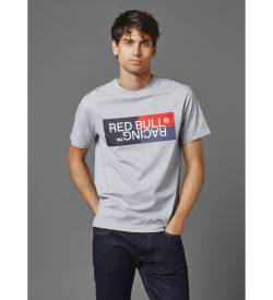 Red Bull Racing x Pepe Jeans für Herren. RM500001 T-shirt Rbr Colour Block Logo grau (L), Lässig, Baumwolle, Kurzarm von Red Bull Racing x Pepe Jeans