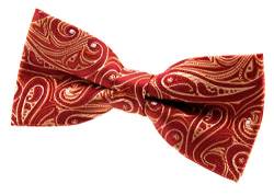 Retreez Herren Gewebte vorgebundene Fliege Elegante Paisley Kunst Muster 11,5 cm - rot von Retreez