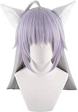 Cosplay Anime Cosplay Rose Net Wigs with Bangs 100% High-Temperature Resistant Fiber Gray Purple Long Straight Hair 40inches for Cosplay Party Daily Use Beauty von SSLQYLEE