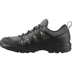 Salomon X Braze Gore-Tex Wasserdichte Herren Outdoorschuhe, Outdoor-bereit, Sportliches Design, Vielseitiger Einsatz, Magnet, 43 1/3 von Salomon