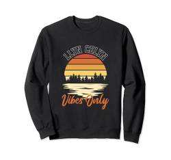 Gute Stimmung am Llyn Celyn Sweatshirt von See Urlaub in Wales