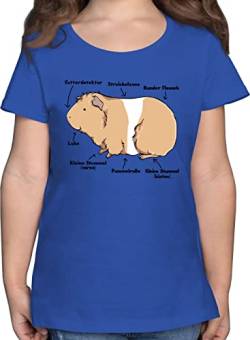 T-Shirt Mädchen - Tiermotiv Animal Print - Meerschwein Anatomie - 140 (9/11 Jahre) - Royalblau - Tiere meerschweinchen Kinder Shirt Tshirt mit tiermotiven Guinea t Shirts tiermotive meerschweine von Shirtracer