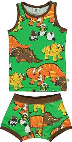 Småfolk Boy's Underwear Dinosaur Base Layer Set, Green, 5-6 Years von Småfolk