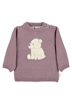 Sterntaler Baby - Mädchen Pullover Baby Strick Strickpullover Eisbär Elia, Rosa, 68 von Sterntaler