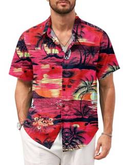 TARAINYA Hawaii Hemd Männer Hawaiihemd Herren Kurzarm Hawaii Outfit Kostüm Funny Lustig Palme Flamingos Floral Palmblatt 2XL von TARAINYA