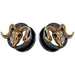 TBOSEN 2PCS Edelstahl Retro Ram Ziege Schädel Ohrstöpsel Große Messgeräte Stretching Screw Fit Tunnel Piercing Expander Messgeräte 2g-1Zoll 6mm-25mm von TBOSEN