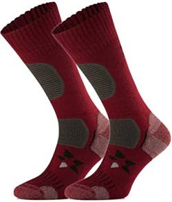 TODO BP Medium Dicke Wandersocken 34% Merino Wolle Herren und Damen. Socken für Outdoor, Hiking, Wandern, Camping, zum Wald, Bergsocken (43-46, Rotwein) von TODO