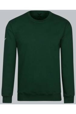 TRIGEMA Regular Fit Sweatshirt Rundhalsgrün, Einfarbig von TRIGEMA