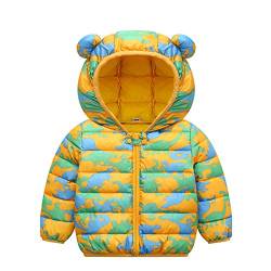 TinaDeer Baby Winter Jacke mit Kapuze Ultraleicht Mäntel Gepolstert Leicht Steppjacke Jungen Mädchen Herbst Warmer Kapuzenmantel Winterjacke Wintermantel für 6 Monate - 4 Jahre (Grün, 18-24 Monate) von TinaDeer