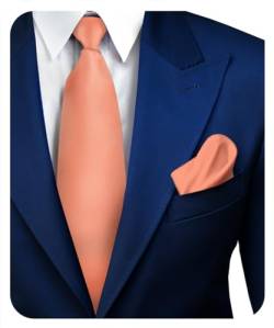 Vittorio Farina Solide Satin-Krawatte und Einstecktuch – passende Herren-Krawatten-Set – Herrenmode-Accessoires für jeden Anlass, Roségold, Einheitsgröße von Vittorio Farina