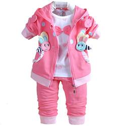 Yao 6M-3Jahre Baby Mädchen Kleidung Set 3 Stück Langärmliges T-Shirt Hoodie Jacke und Hose(heißes Rosa,6-12Monate) von Yao