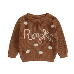 Yassiglia Baby Halloween Strickpullover Kleinkinder Kürbis/Geist Sweatshirt Langarm Rundhals Gestrickter Pullover Neugeborenes Baby My First Halloween Outfit (Braun, 6-9 Months) von Yassiglia