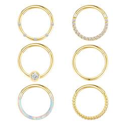 Yolev 6 Stück Gold Chirurgenstahl Nasenring Hoop Diamant Nasenring Piercing 8mm Edelstahl Nasenseptumring Damen Nahtloser Scharnierring Piercing Schmuck Ring Tragus Knorpel Ohrringe von Yolev