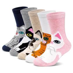 ZFSOCK Kindersocken Socken Kinder 27-30: Mädchen Bunte Sneaker Socken aus Baumwolle Lustige Motiv Karikatur Tier Cats Weihnachten Geschenkideen 5 Paare von ZFSOCK