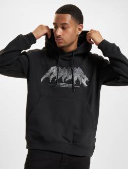 adidas Originals Flames Conc Hoodie von adidas Originals