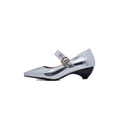 smlekwc Damen Quadratische Spitze Zehen Hofschuhe PU Leder Kleid Schuhe Mit Schnalle Kleiner Absatz Mary Jane Pumps,Silber,40 EU von smlekwc