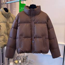 Damenbekleidung Koreanische Version kurzer Stehkragen kleine Wintermäntel Baumwolljacke für Damen einfache lockere Version Reißverschluss Pufferjacke einfarbig von voghion