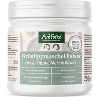 AniForte® Grünlippmuschel Pulver von AniForte