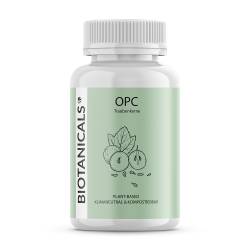 BIOTANICALS OPC Traubenkernextrakt von Biotanicals GmbH