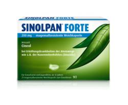 SINOLPAN forte 200 mg magensaftres.Weichkapseln 21 St von Engelhard Arzneimittel GmbH & Co.KG
