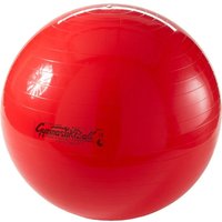 Pezzi®-Ball Original Gymnastikball mit Übungsanleitung von Pezzi