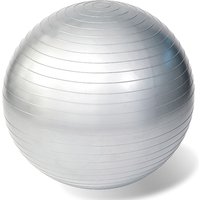 Rehaforum® Gymnastikball 65 cm silber metallic von Rehaforum