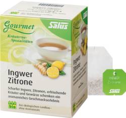 INGWER ZITRONE Tee Salus Filterbeutel 30 g von SALUS Pharma GmbH