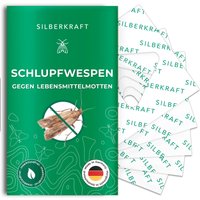 Silberkraft Schlupfwespen von Silberkraft