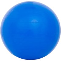 Sport-Knight® Gymnastikball mit Fußpumpe Blau 65cm von Sport-Knight®