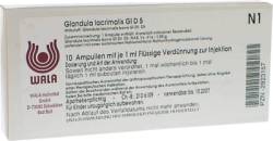 GLANDULA LACRIMALIS GL D 5 Ampullen 10X1 ml von WALA Heilmittel GmbH