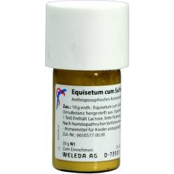 WELEDA EQUISETUM CUM Sulfure tostum D 6 Trituration von Weleda AG