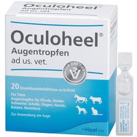 Oculoheel Augentropfen fÃ¼r Heim-/haus-/nutztiere