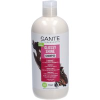 Sante Naturkosmetik Glossy Shine Shampoo Birke von SANTE