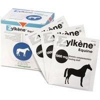 Zylkene Equine Pulver fÃ¼r Pferde von Zylkene