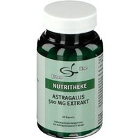 green line Astragalus 500 mg Extrakt von green line